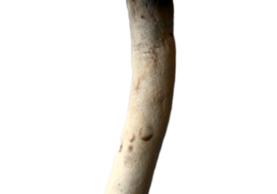 POTERIE | Atelier +8 ans « Le champignon »