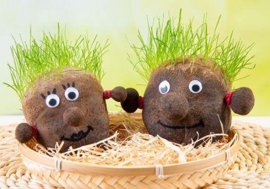 Le jardin des tout-petits au mois de juin