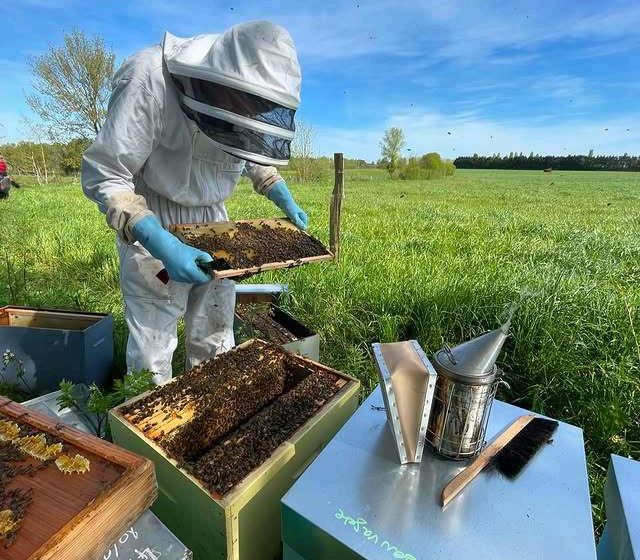 Les Abeilles du P&rsquo;tit Lili