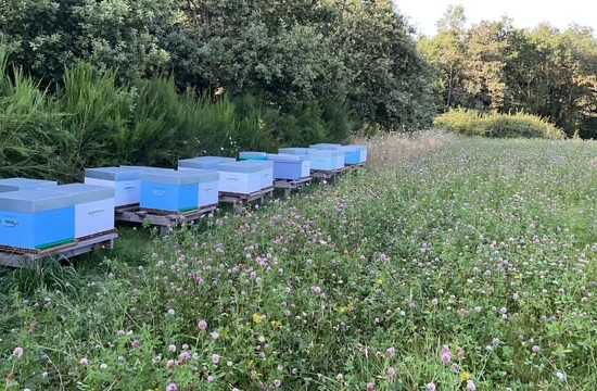 Les Abeilles du P&rsquo;tit Lili