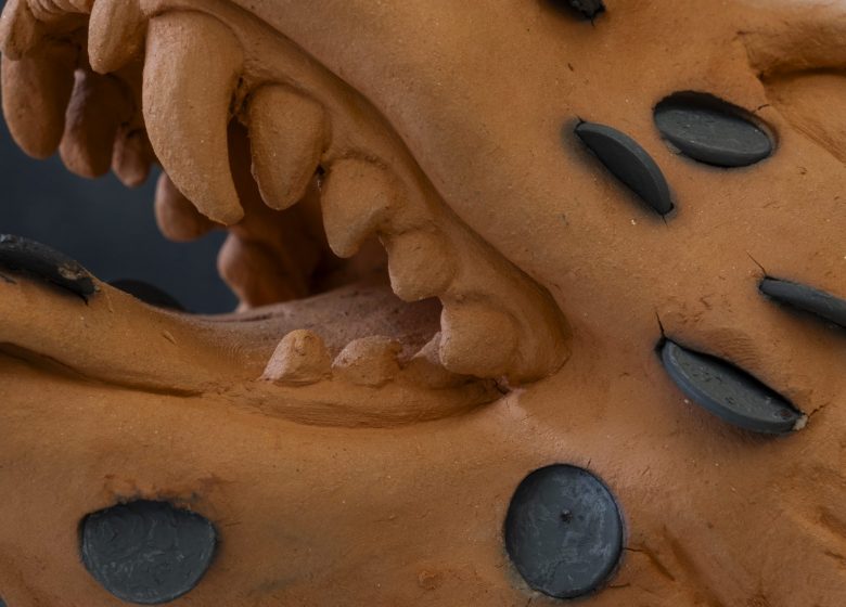 Exposition « Maison de la Monaie », Céleste Richard Zimmerman, en partenariat avec le FRAC pays de la Loire
