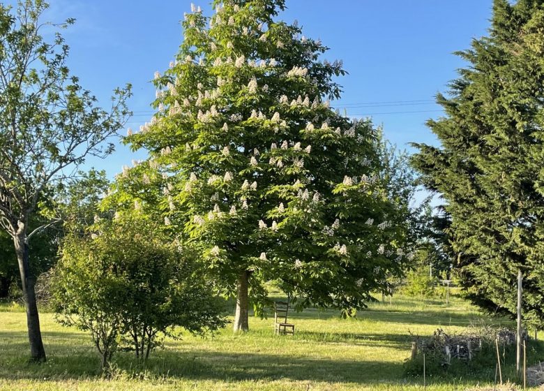 Chambre d&rsquo;hôtes Un brin nature