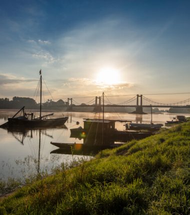 Route des vins – Loire sauvage et corniche angevine