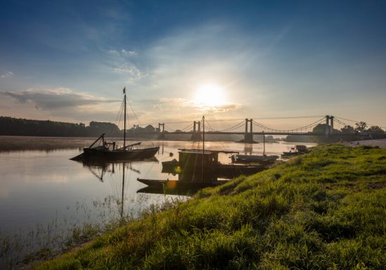 Route des vins – Loire sauvage et corniche angevine