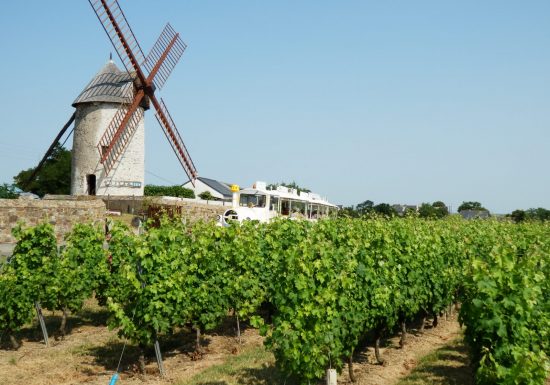 Le p&rsquo;tit train Vignes et Loire