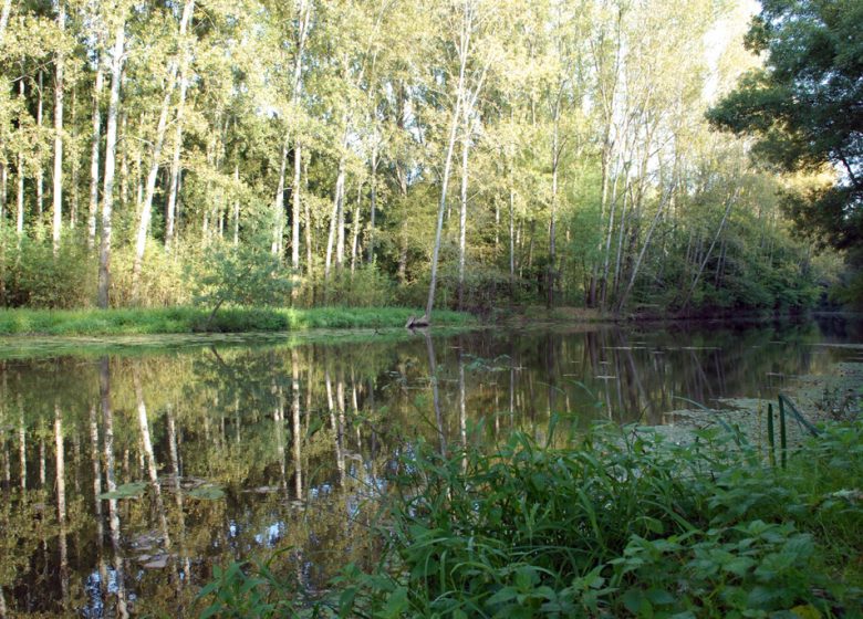 Vallée du Hâvre