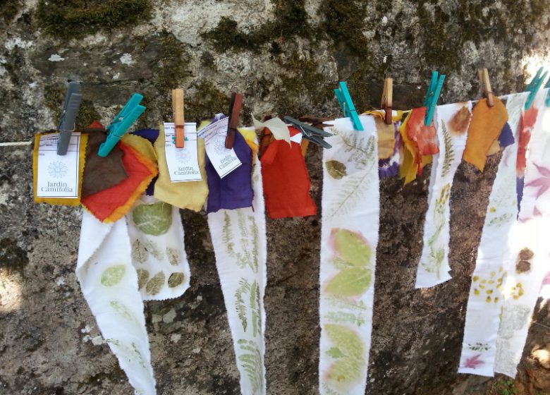 ATELIER TEINTURE VÉGÉTALE AU JARDIN CAMIFOLIA