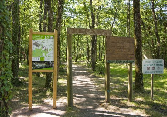 Forêt et étang de la Foucaudière