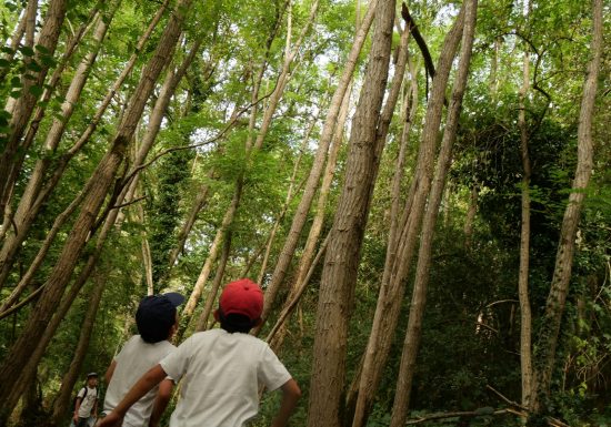 Chasse au trésor dans les vignes au Domaine des  Galloires