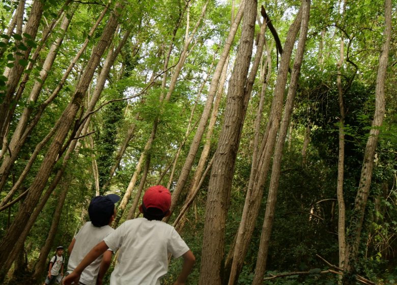 Chasse au trésor dans les vignes au Domaine des  Galloires