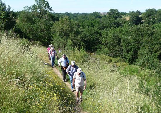 Excursion commentée : retour à l’époque des fours à chaux de Montjean-sur-Loire
