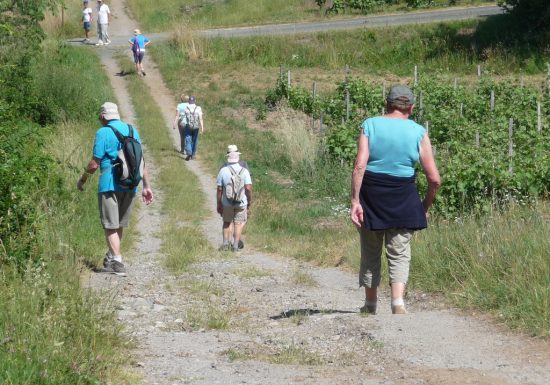 Excursion commentée : retour à l’époque des fours à chaux de Montjean-sur-Loire