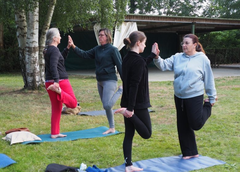 Éveil des sens, du safran au yoga