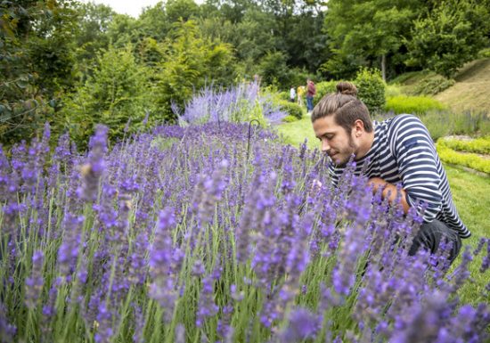 Atelier « Initiation à la parfumerie »