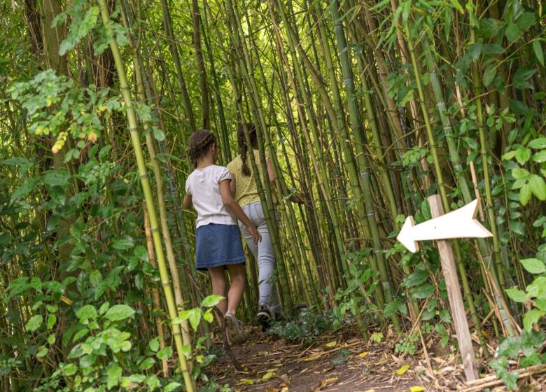 Animation Les passages secrets de Cap Loire