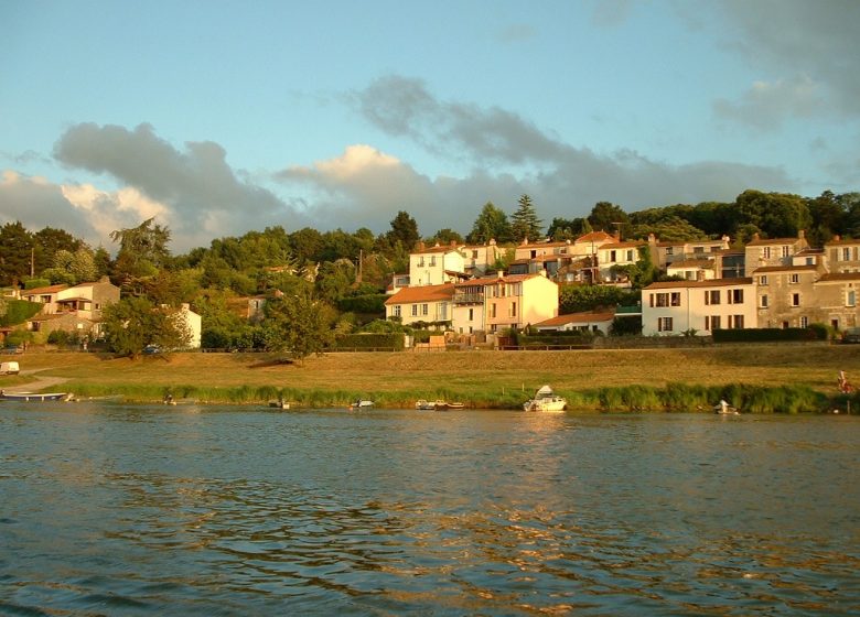 Pêche en Loire au Cul du Moulin et à la Patache