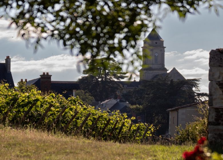 Visite du clos de vignes associatif La Pierre à Fourneau