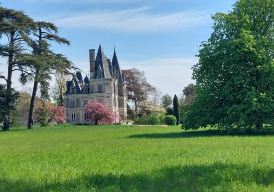 Parc du château du Martreil