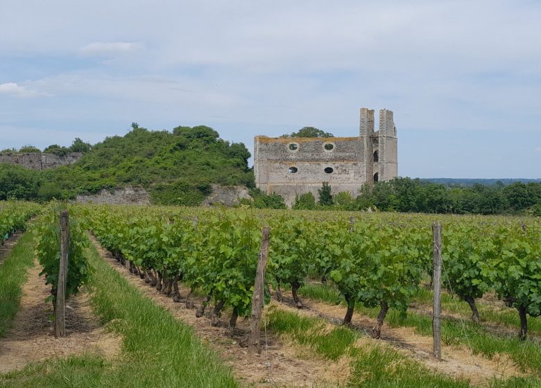 Balade touristique guidée à vélo à Montjean-sur-Loire