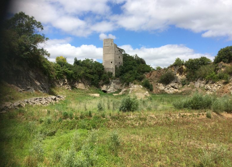 Balade touristique guidée à vélo à Montjean-sur-Loire