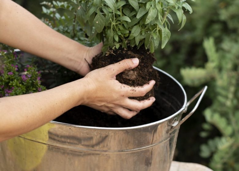 Planter sa jardinière d&rsquo;aromatiques
