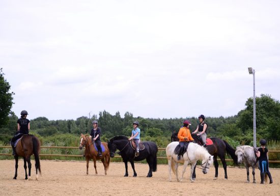 LE PÔLE EQUESTRE MORTAGNAIS