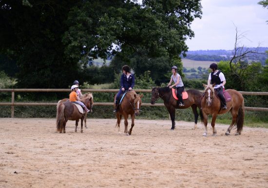 LE PÔLE EQUESTRE MORTAGNAIS