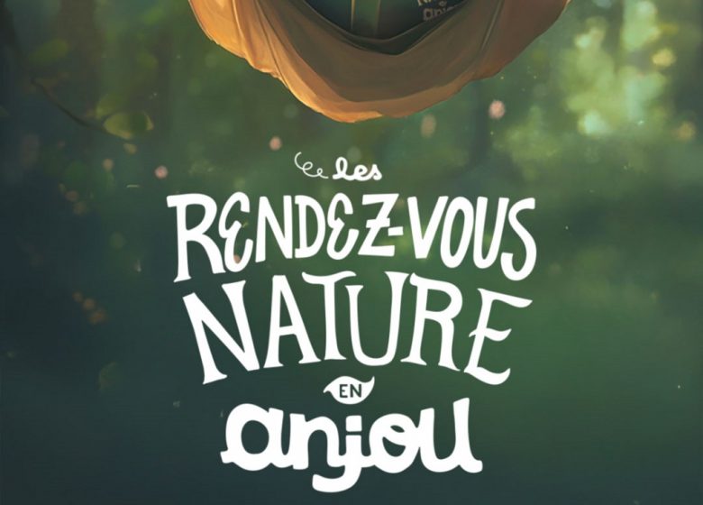 RDV Nature en Anjou : Les petites bêtes aquatiques