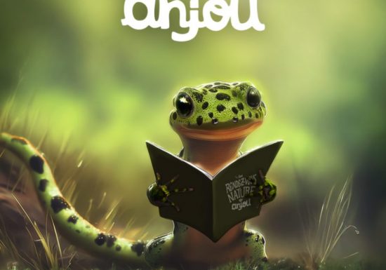 RDV nature en Anjou : Jeu « zones humides »