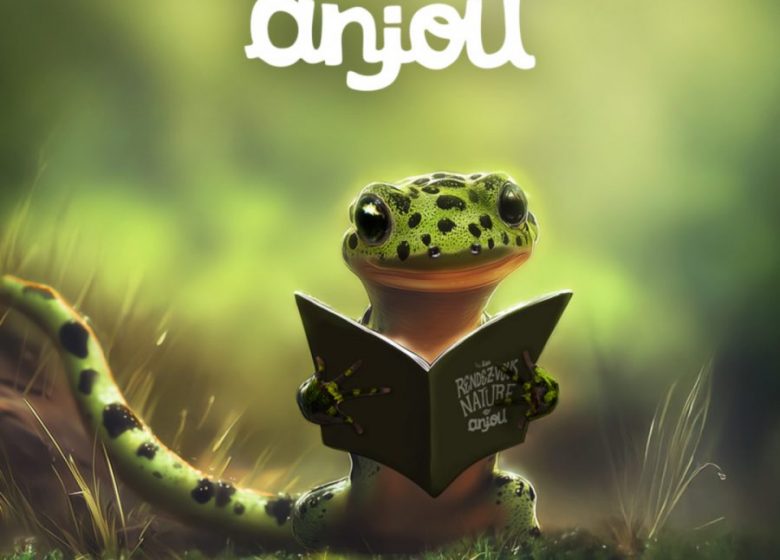 RDV nature en Anjou : Jeu « zones humides »