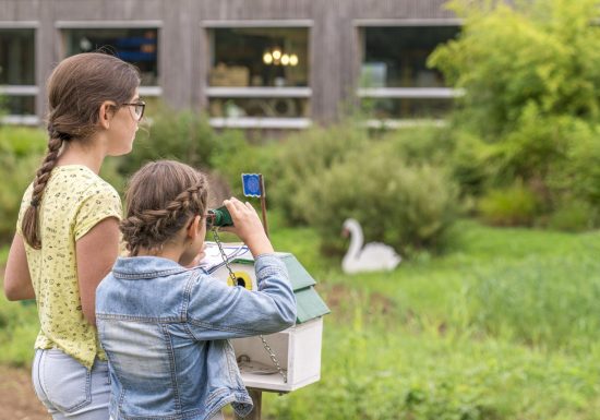 Rallye des oiseaux à Cap Loire