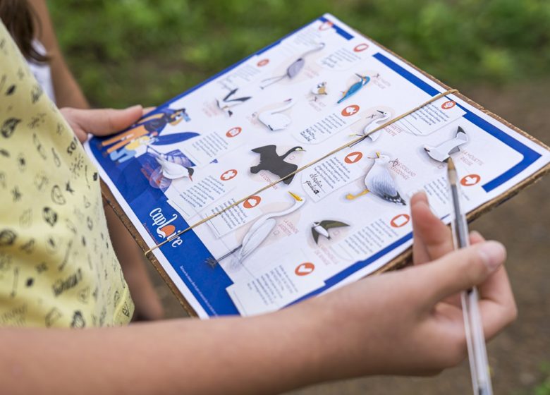 Rallye des oiseaux à Cap Loire