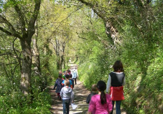 Balade à la rencontre de la biodiversité