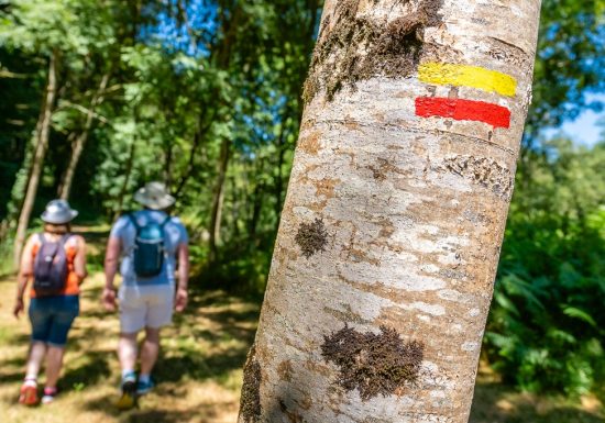 GR® de Pays au Fil de l’Evre et de l’Hyrôme