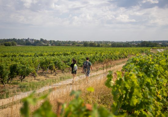 Drain – Entre Loire et Vignoble