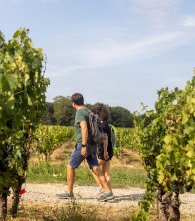 Drain – Entre Loire et Vignoble