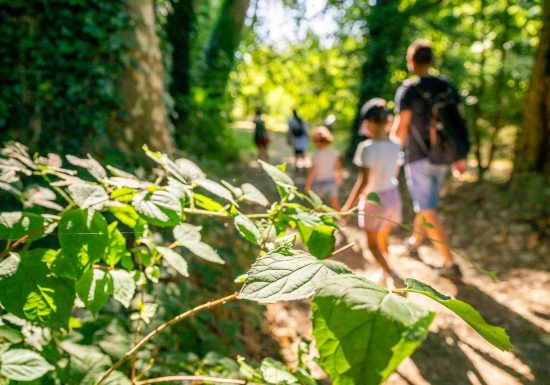 Balade interactive baludik « Les arts en chemin »