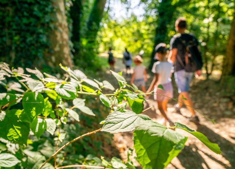 Balade interactive baludik « Les arts en chemin »