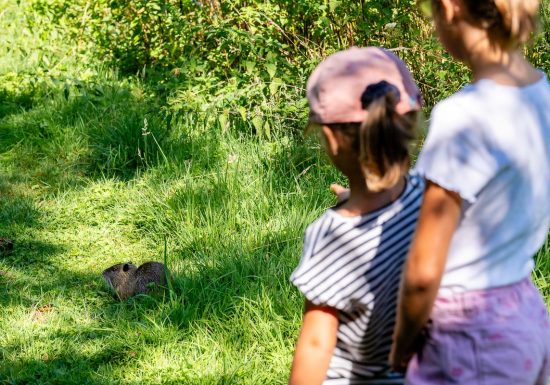 Balade interactive Baludik « Le mystère du Loch Èvre »
