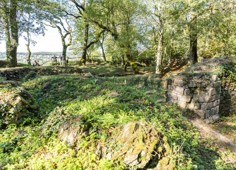 Journées Européennes du Patrimoine : Visite guidée dans les ruines du château seigneurial de Châteauceaux