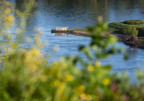 Jeu de piste sur le castor organisé par la LPO