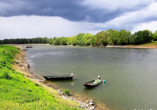 Balade photographique à Saint-Florent-le-Vieil