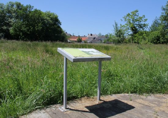 LES LANDES À SAINT-LÉZIN