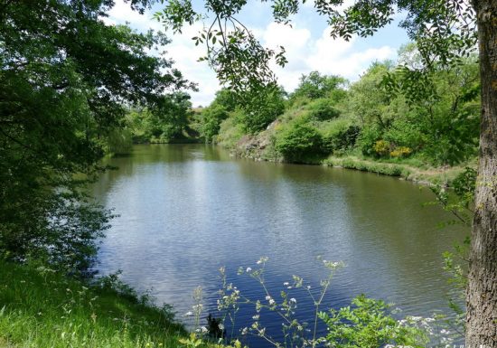 Randonnée photographique « La coulée de la Divatte »