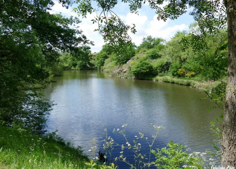 Randonnée photographique « La coulée de la Divatte »