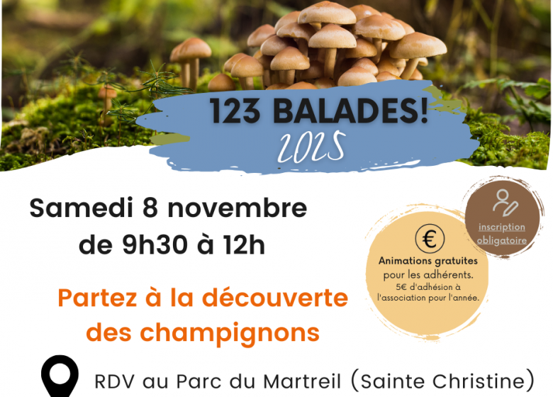 Animation123 Balade ! Partez à la découverte des champignons