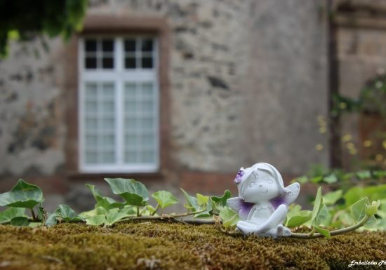Balade photographique « SpéciaL scénettes » dans le parc de Beaupréau
