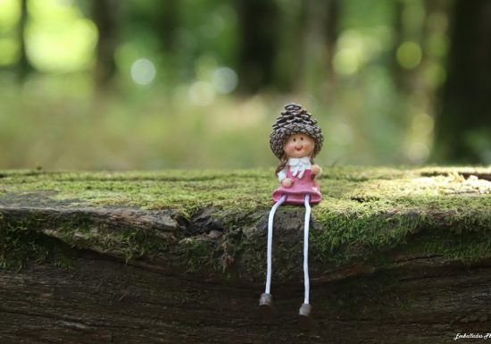 Balade photographique « SpéciaL scénettes » dans le parc de Beaupréau