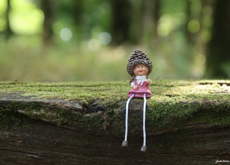 Balade photographique « SpéciaL scénettes » dans le parc de Beaupréau