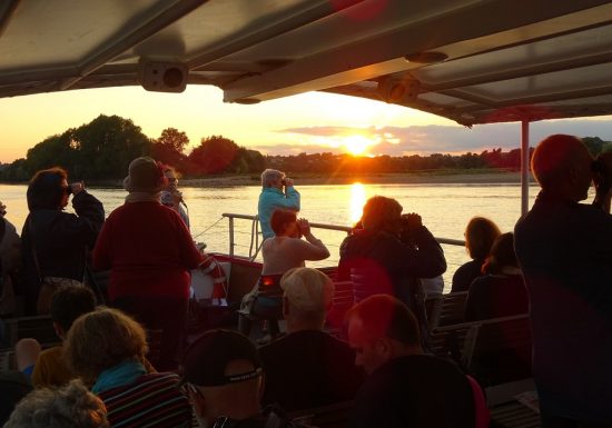 Croisière Ornithologique avec la LPO à bord de La Luce